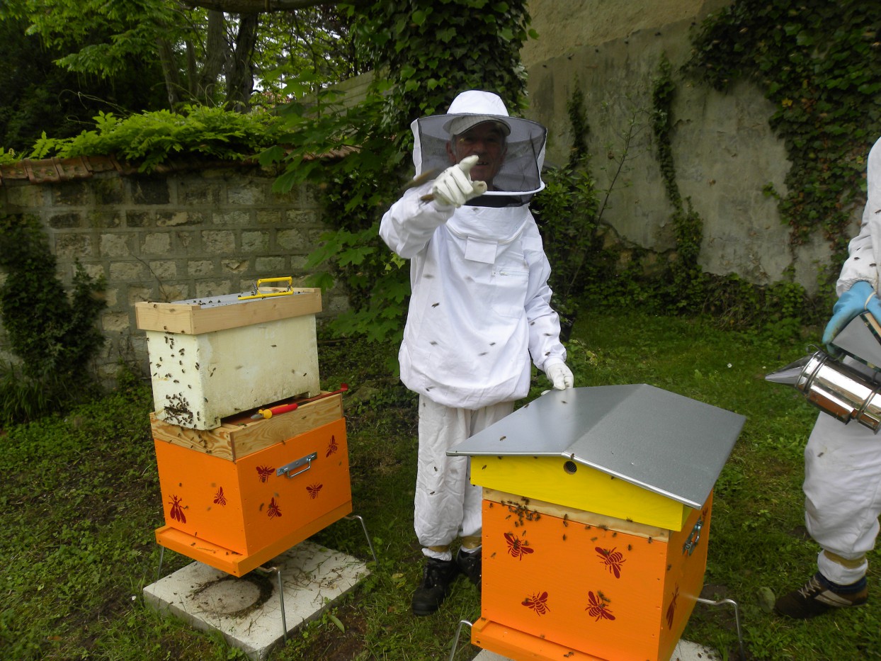 des ruches dont on peut goûter le miel à l'EHPAD