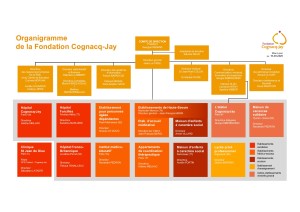organigramme FCJ - 2025-09-15