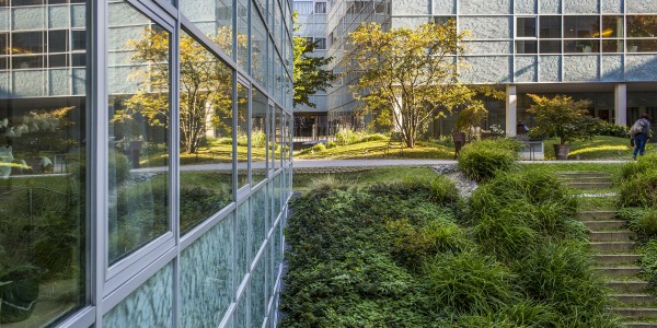 obésité-nutrition à l’Hôpital Cognacq-Jay