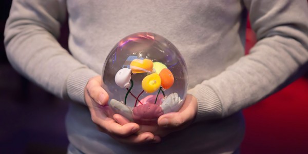 Prix Fondation Cognacq-Jay - Accompagnement